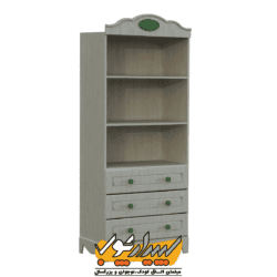 کتابخانه نوجوان وودی