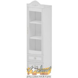 ویترین هخامنش